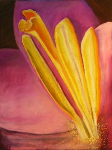 crocus 2